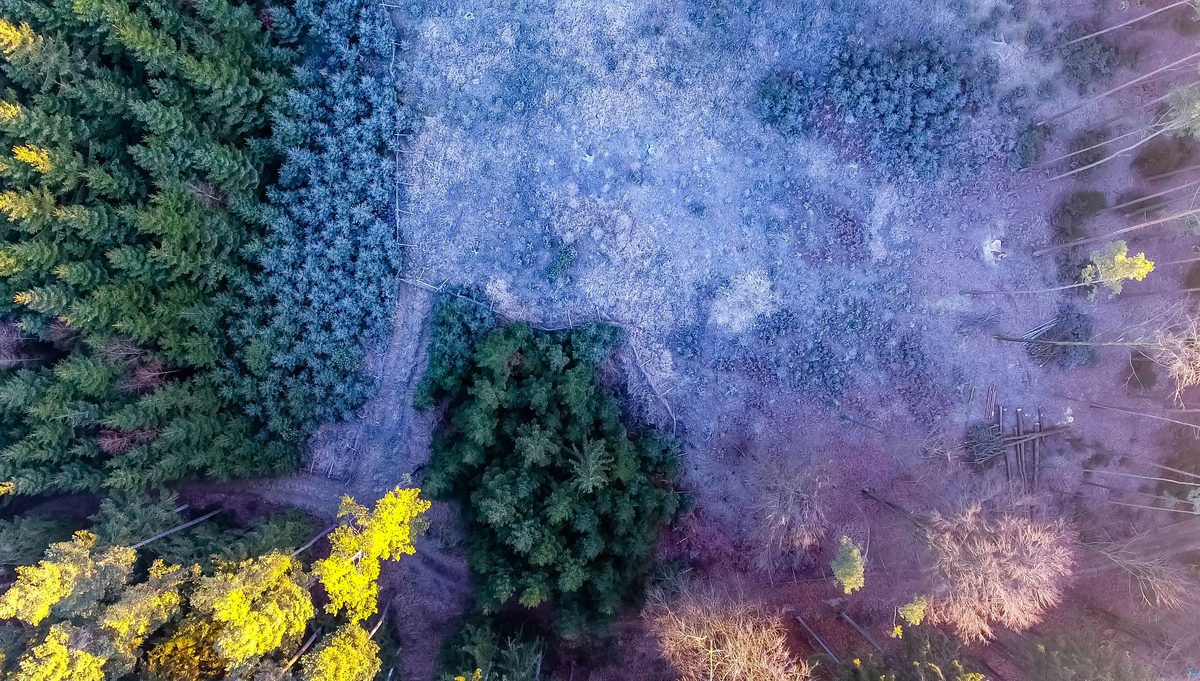 Landschaftsaufnahmen & 360°